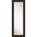 19" x 53" Non-Beveled Accent Bronze Full Length on The Door Mirror - Amanti Art: Polystyrene Frame, Includes Mounting Hardware