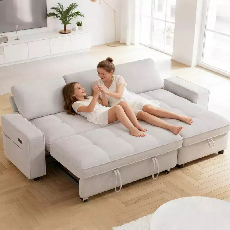 Dyonery Convertible Storage Sofa Bed