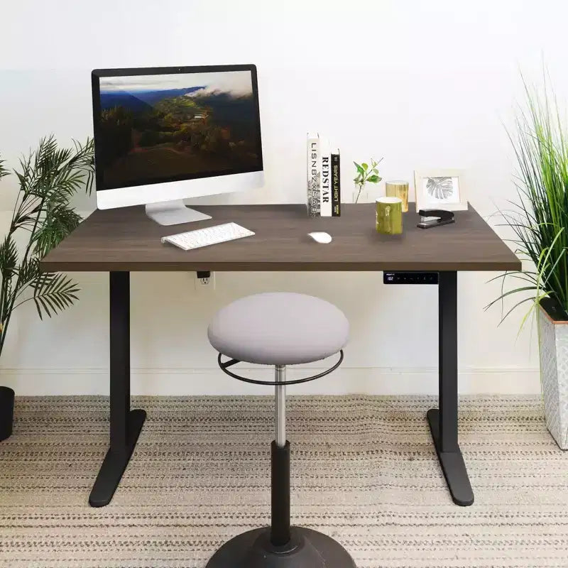 Mount-It! Electric Sit-Stand Desk with Tabletop - Black/Adrift