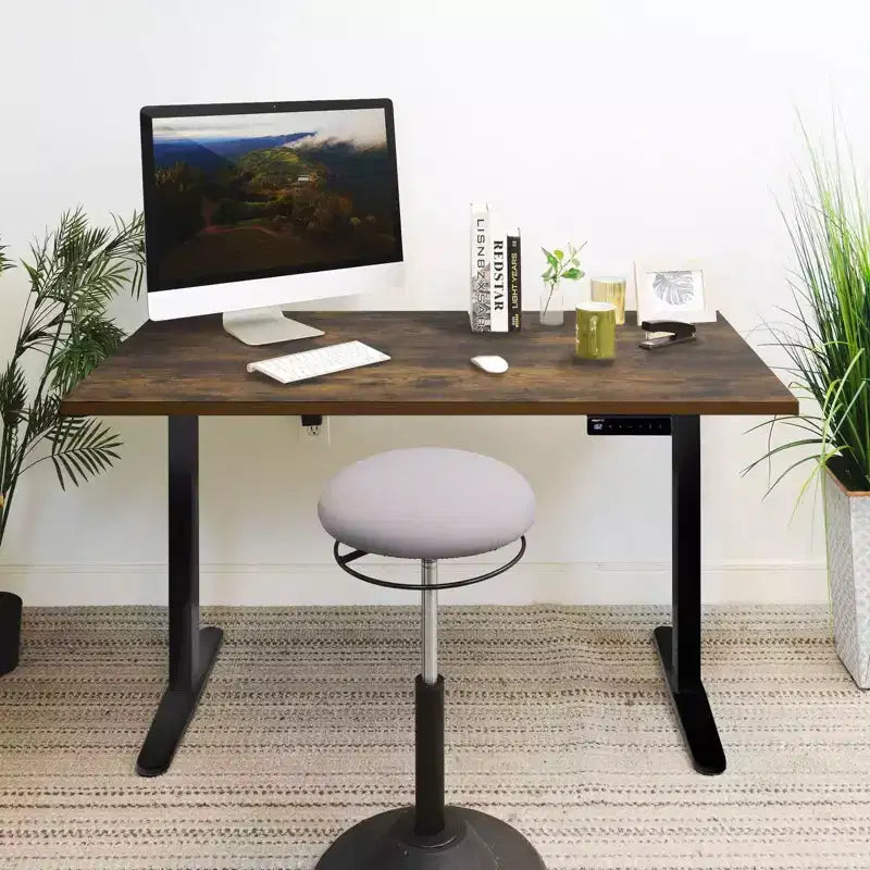 Mount-It! Electric Sit-Stand Desk with Tabletop - Black/Oak