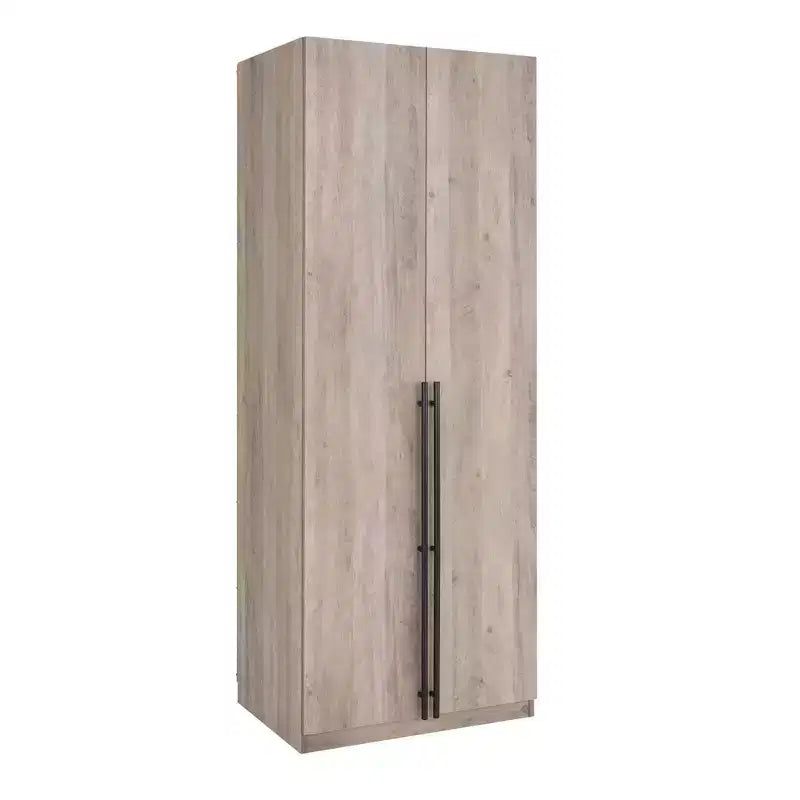 Manhattan Comfort Lee 2 Door and 2 Drawer Wardrobe Closet